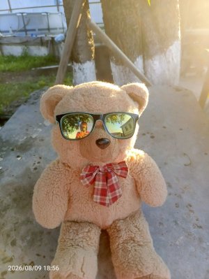 стрим