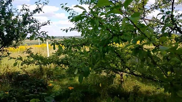 Делаем дела дома, Гуляем по Ленинской, Отдыхаем