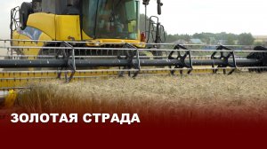 Битва за урожай: аграрии ОАО «Рассвет» используют погожие дни для сбора зерна без потерь