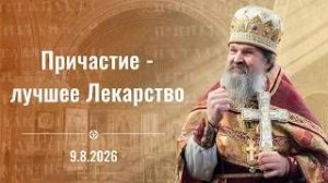 Воскресная проповедь протоиерея Андрея Лемешонка. Память вмч. Пантелеимона. 9 августа 2026 г.