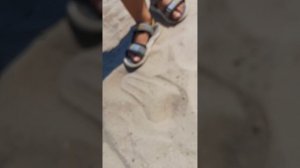 Ишим прикольные штуки в песке