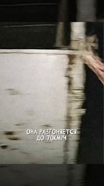 К.О.Н.Т.У.Р. СИМУЛЯКР 