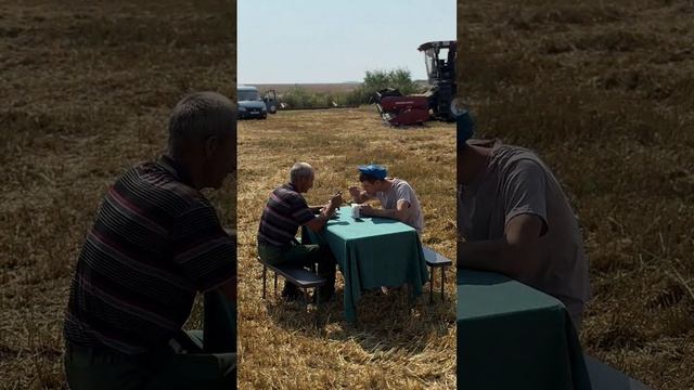 Полевой ресторан // Моя ты нефтянка