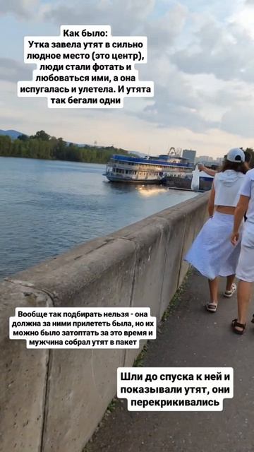 🦆💔 #люблюживотных #доставка #утята #птицы