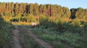 Отстрел пулевых патронов Гуаланди от «СКМ» на 50 метров!