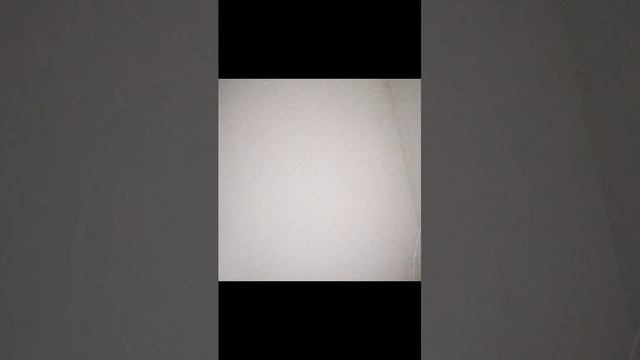 10-08-2026