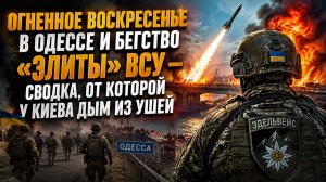 Фронт трещит, “Эдельвейс” бежит, мосты горят: почему Украина на грани коллапса