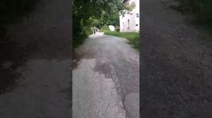 привет