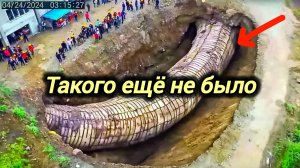 11-08-2026. ЧП❗КАТАКЛИЗМЫ❗КАТАСТРОФЫ‼️ ПРОИСШЕСТВИЯ ЗА ДЕНЬ. новости дня. СЕГОДНЯ. Россия США Китай