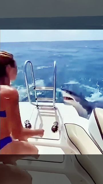 6249.mp4