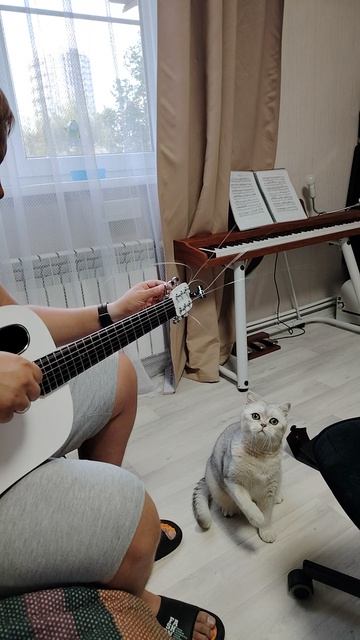 Котик помогает менять струны на гитаре🤗🤗🤗