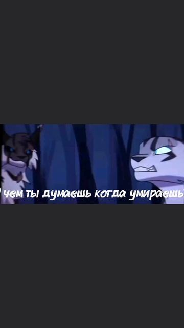 Там немного не так но жду АКТИВЧИК