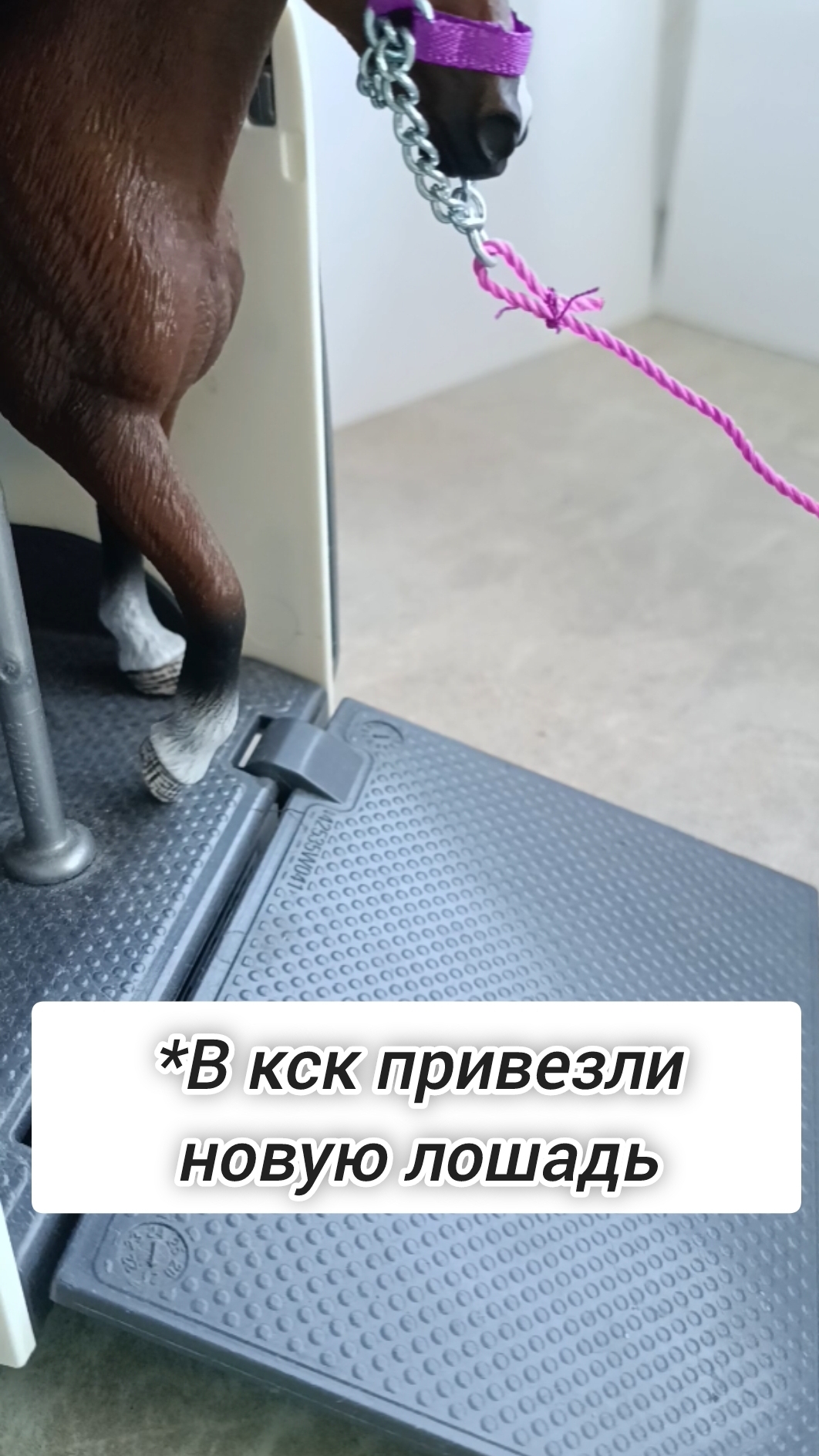 Новый конь...