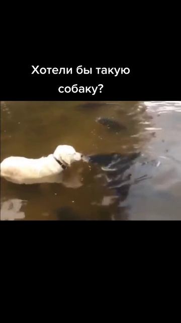23691.mp4