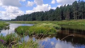 🌲Субботний день