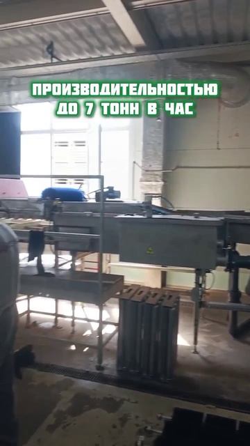 10.08.2026 Плановое техническое обслуживание линии сортировки яблок в Адыгее