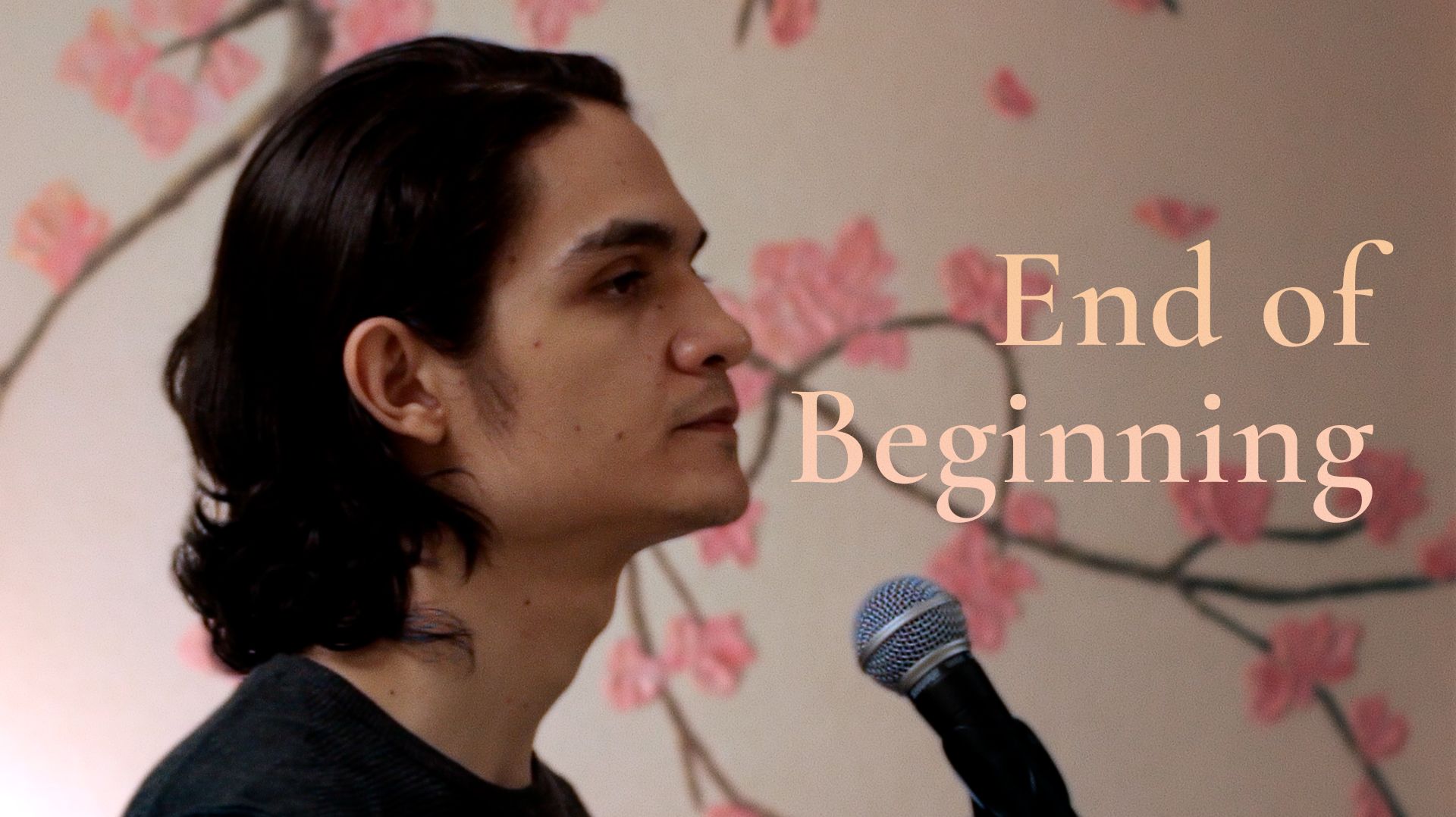 End Of Beginning - Djo (Joe Keery) - Даниэль Янес
