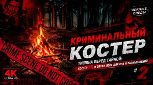 Тишина перед тайной: Костёр 4K и звуки леса для сна и размышлений