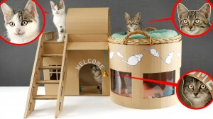Как сделать удивительный картонный домик для котят