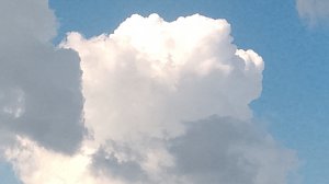приехал к бабушке в деревню