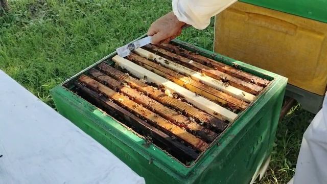 10 августа МНОГОСТРАДАЛЬНАЯ МАТКА как она