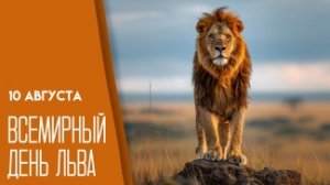 10.08.26 - Всемирный День льва