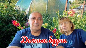 Дачные будни