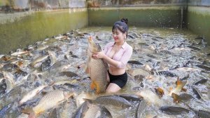 Осушаю пруд перед домом, собираю рыбу и продаю на рынке. Нхат. Вьетнам