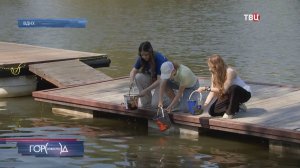 В Каменские пруды на ВДНХ выпустили более 300 карпов
