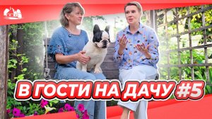 В гости на дачу выпуск №5 |  |Барбариска и дом у леса на опушке |  Владимирская область Наталия