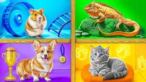 Строим Домики для Животных # Смешные Cитуации c Multi DO Smile