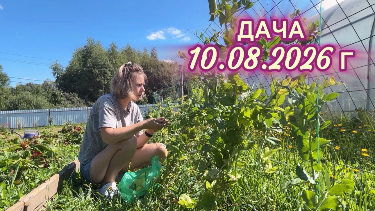 ДАЧА 10 АВГУСТА 2026 Г