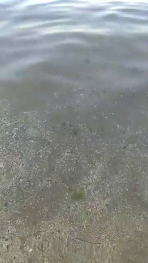 Россия 🇷🇺 Крым Город  Феодосия !!! Лето ☀️🌱🌳 🌲🌿💐🌊🚢 Год 2026