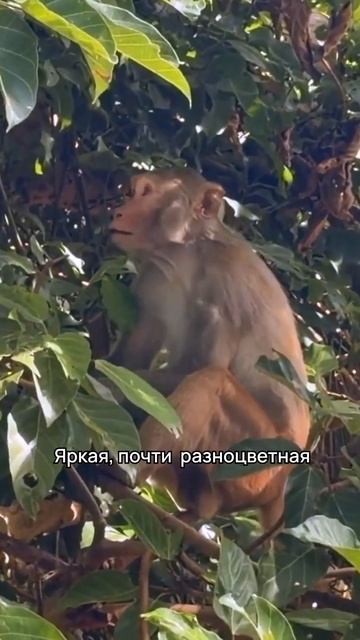 Переезд во Вьетнам