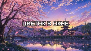 Цветок в окне