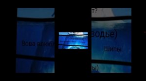 разоблачение на Вову (фанатик кэсси)