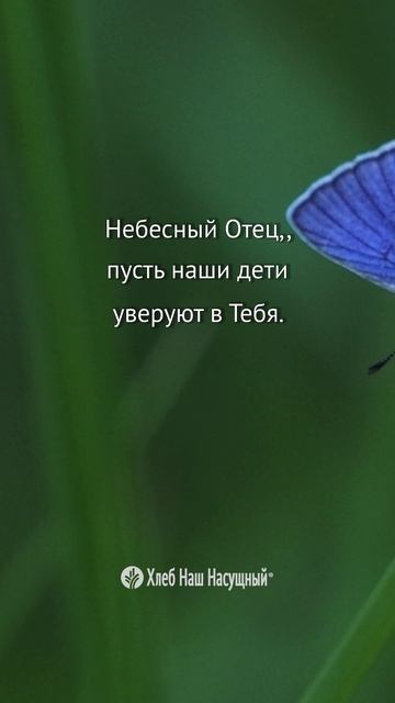 Небесный Отец, пусть... | Божье Слово для вас