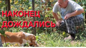 1411 Такой жары давно не было. А мы наконец-то дождались.