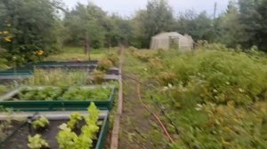 10 августа 2026г Юрий Иванович с внуком Мишей одни на даче в Новосемейкино