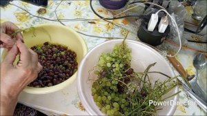 Закрываю компот.