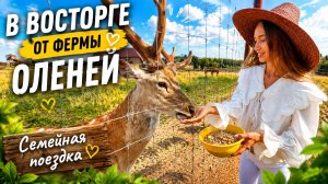 Очень интересное место Оленья ферма. Семейная поездка
