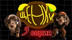 щенки 9 серия