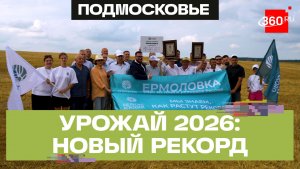 Подмосковные аграрии побили рекорд по урожайности пшеницы