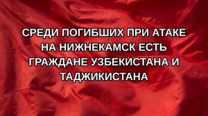 Среди погибших при атаке на Нижнекамск есть граждане Узбекистана и Таджикистана
