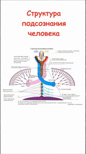 Структура подсознания человека #подсознание #личность #видео #жизнь