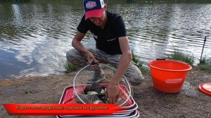 Карась по-городскому: скромно но душевно