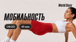 МОБИЛЬНОСТЬ с Альбертом Даниловым | 12 августа 2026 | Онлайн-тренировки World Class