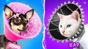 Хорошая собака vs плохой кот! Мы построили домики для домашних животных