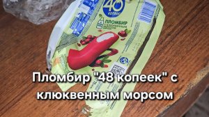 Пломбир «48 копеек» с клюквенным морсом|Мукбанг|Обжор|Еда на камеру