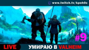 🎮 VALHEIM Прохождение #9 — Входим в Туманные земли с Мишей! | Кронос [FunGame]